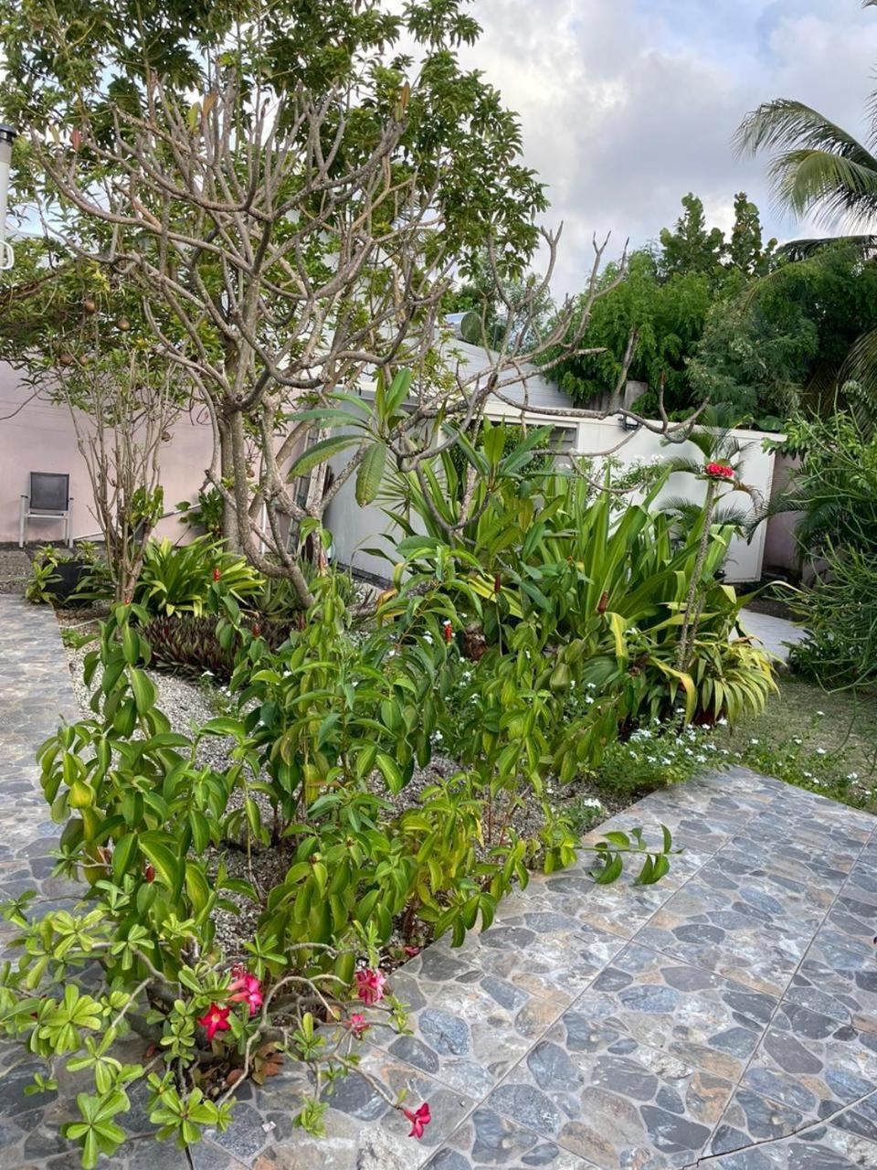 Villa Almeida A 500M De La Plage Courcelles Exteriör bild